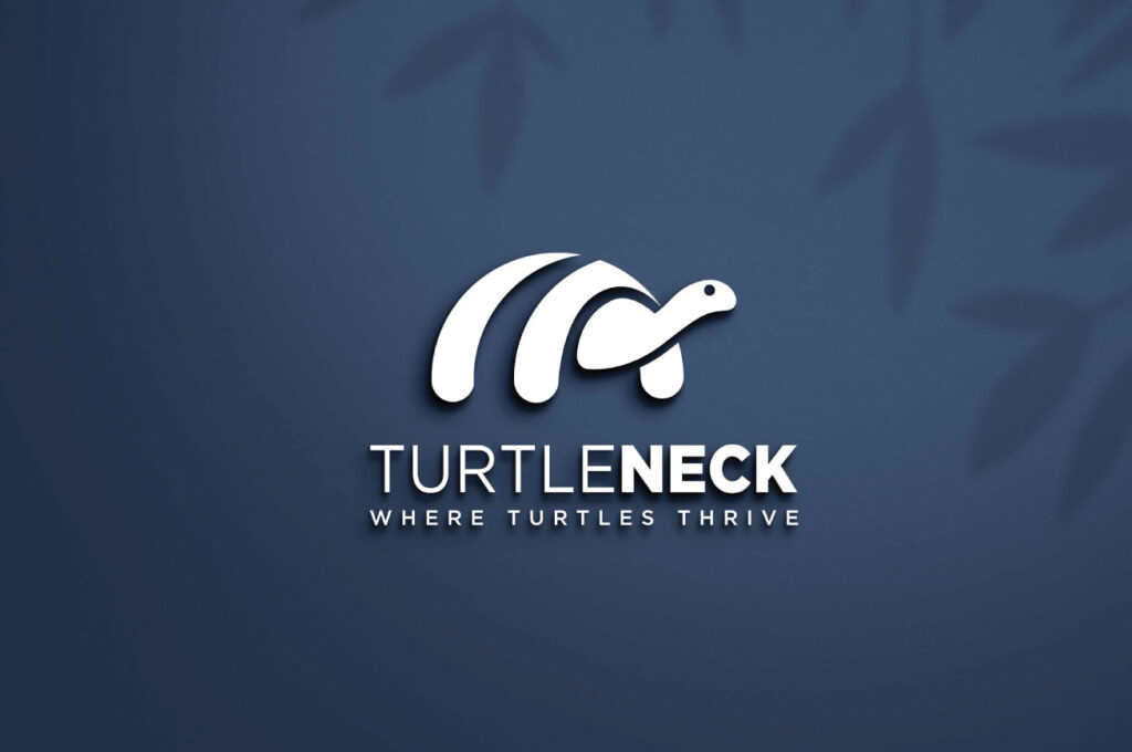 Turtle logo design for company